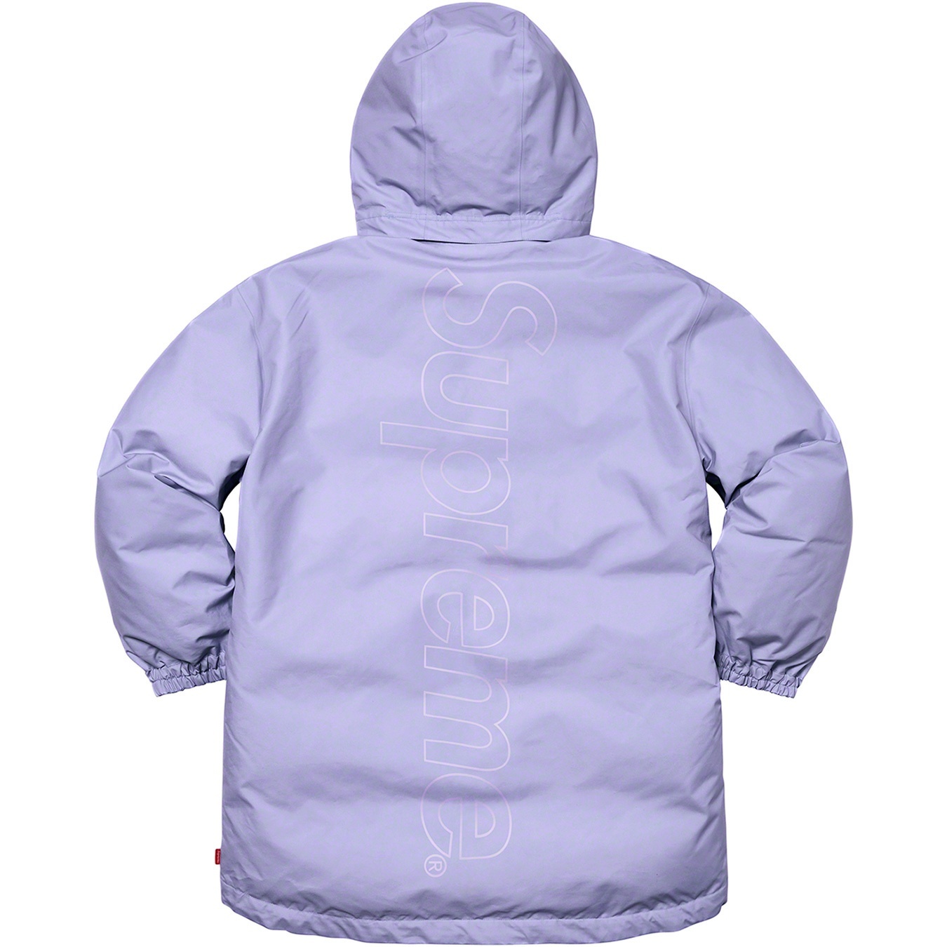 GORE-TEX 700-Fill Down Parka view 19